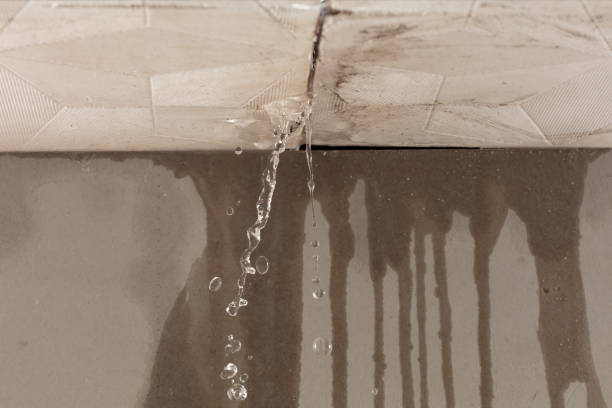 Professional Flood Damage Cleanup technician working in Chilo, OH